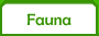 Fauna