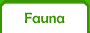Fauna